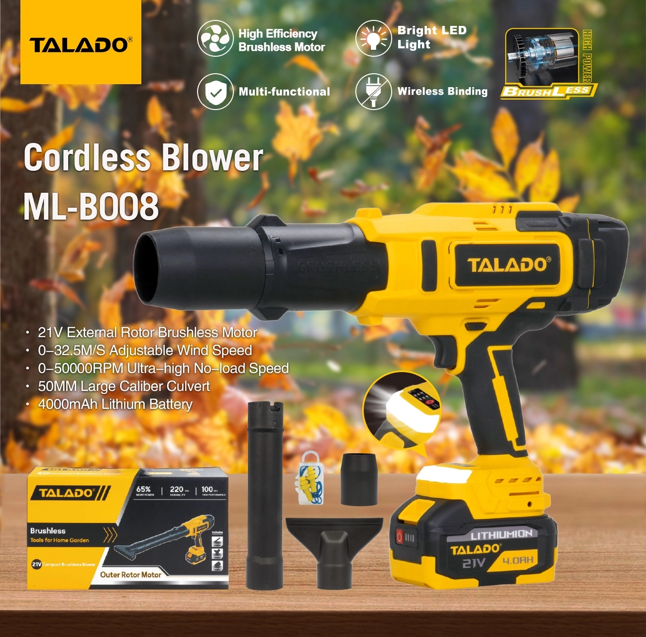 21V Cordless Blower