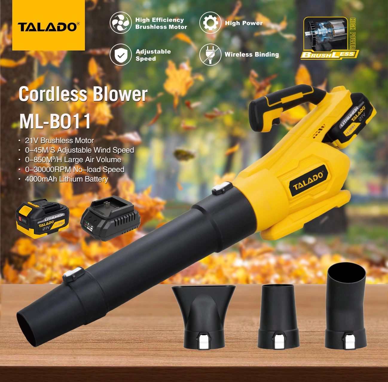 21V Cordless Blower